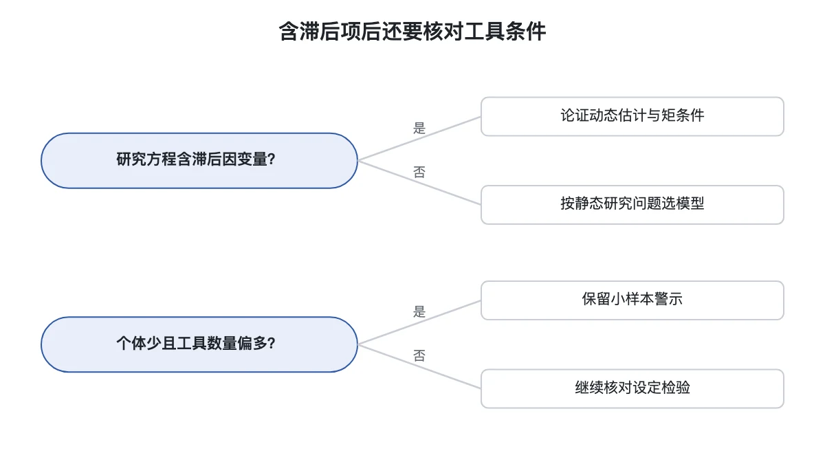 滞后因变量与工具条件的检查决策图